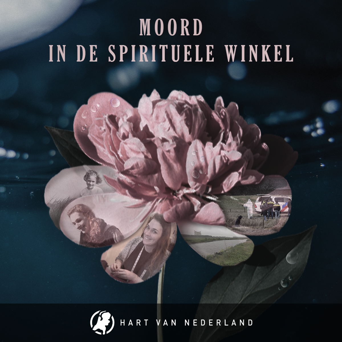 Moord in de Spirituele Winkel