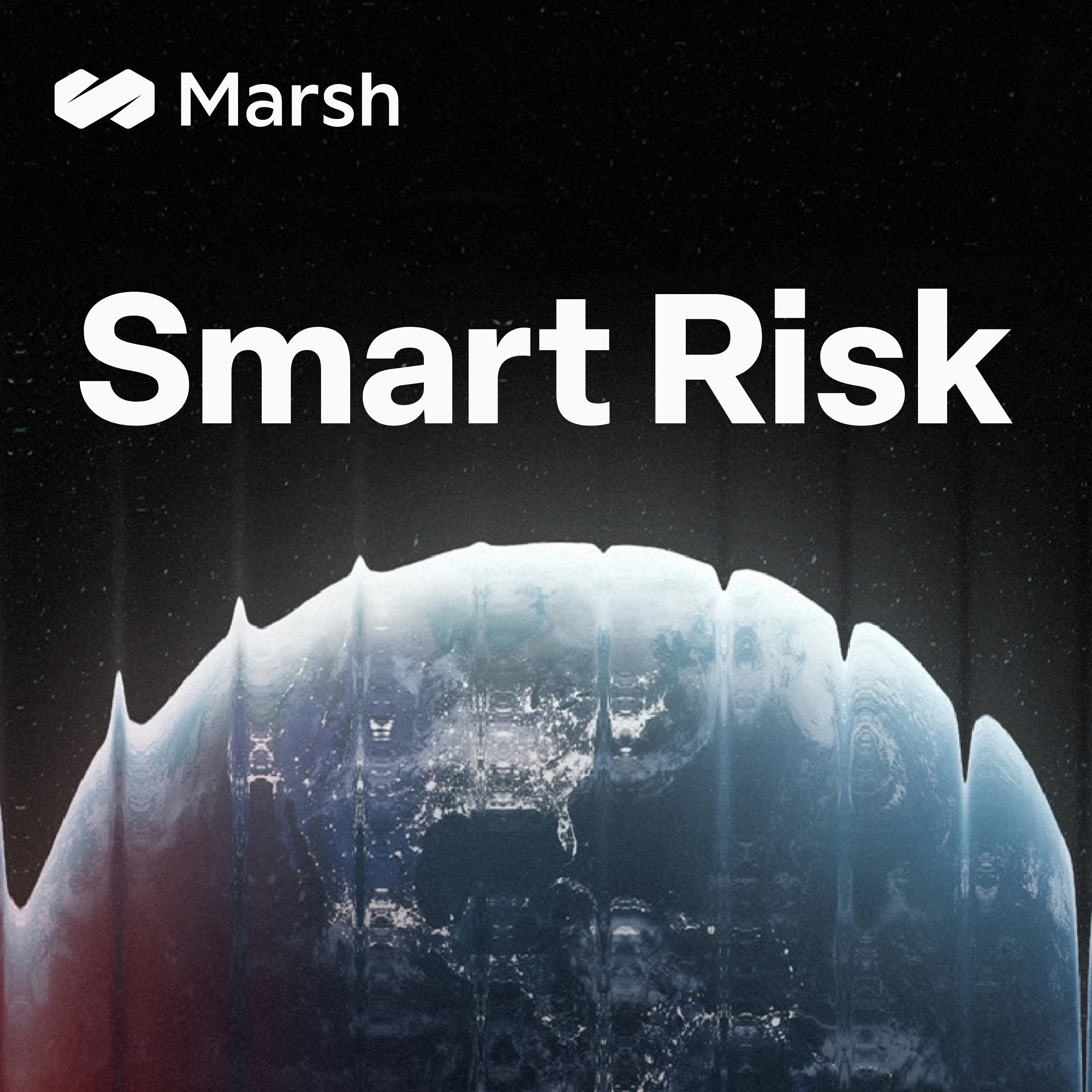 Smart Risk cover