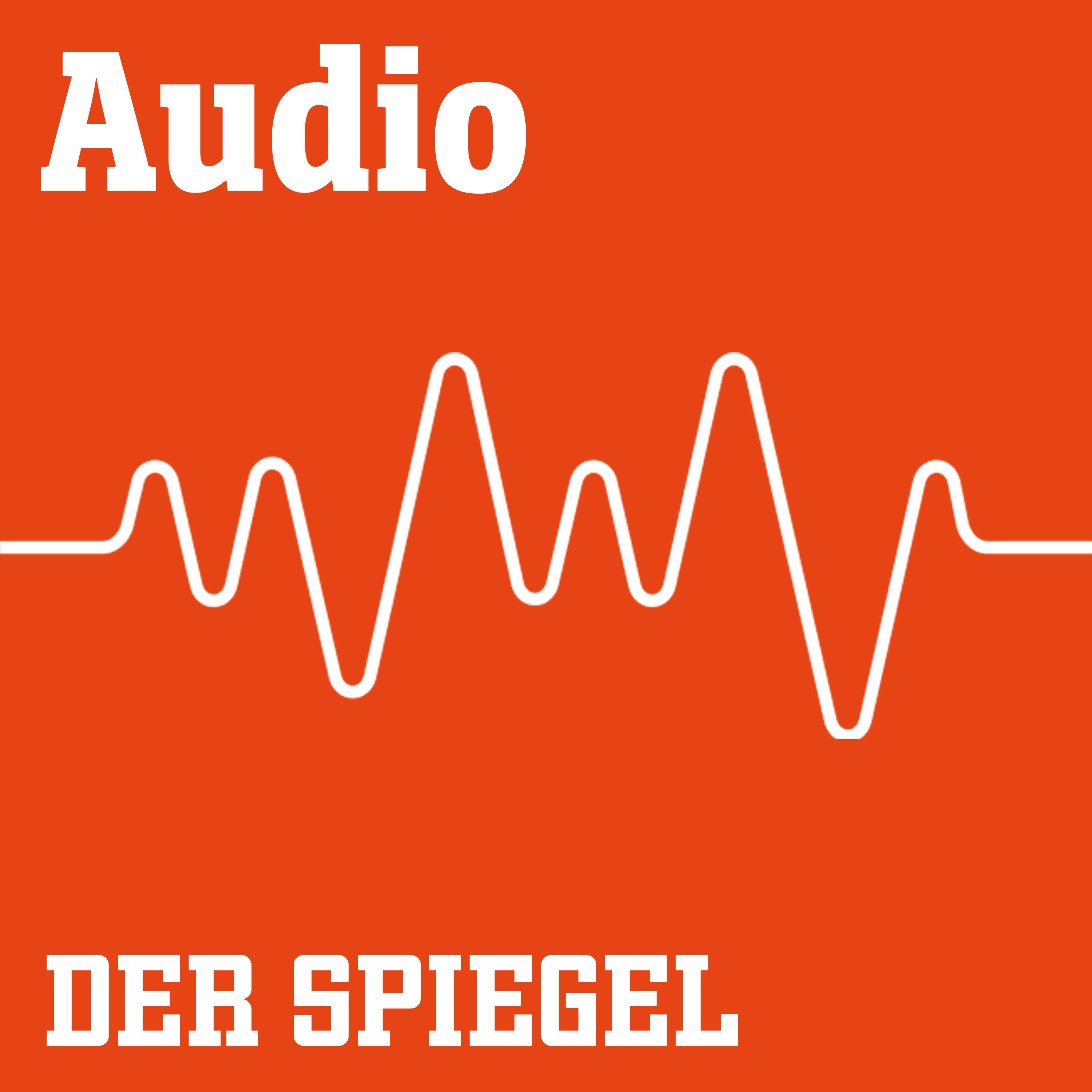 DER SPIEGEL Audiostorys
