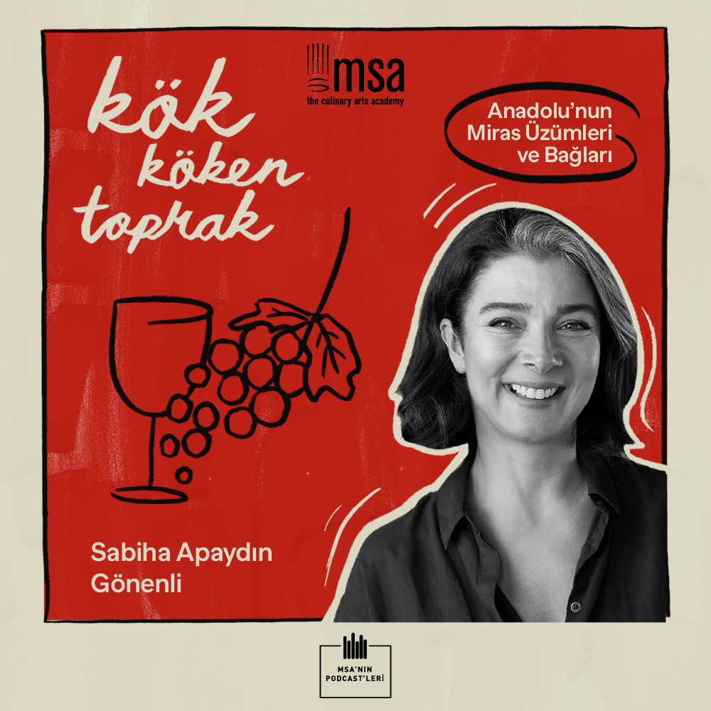 Kök Köken Toprak