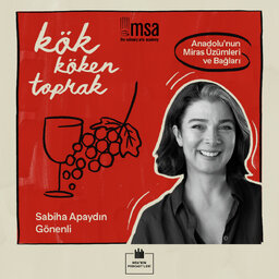Kök Köken Toprak