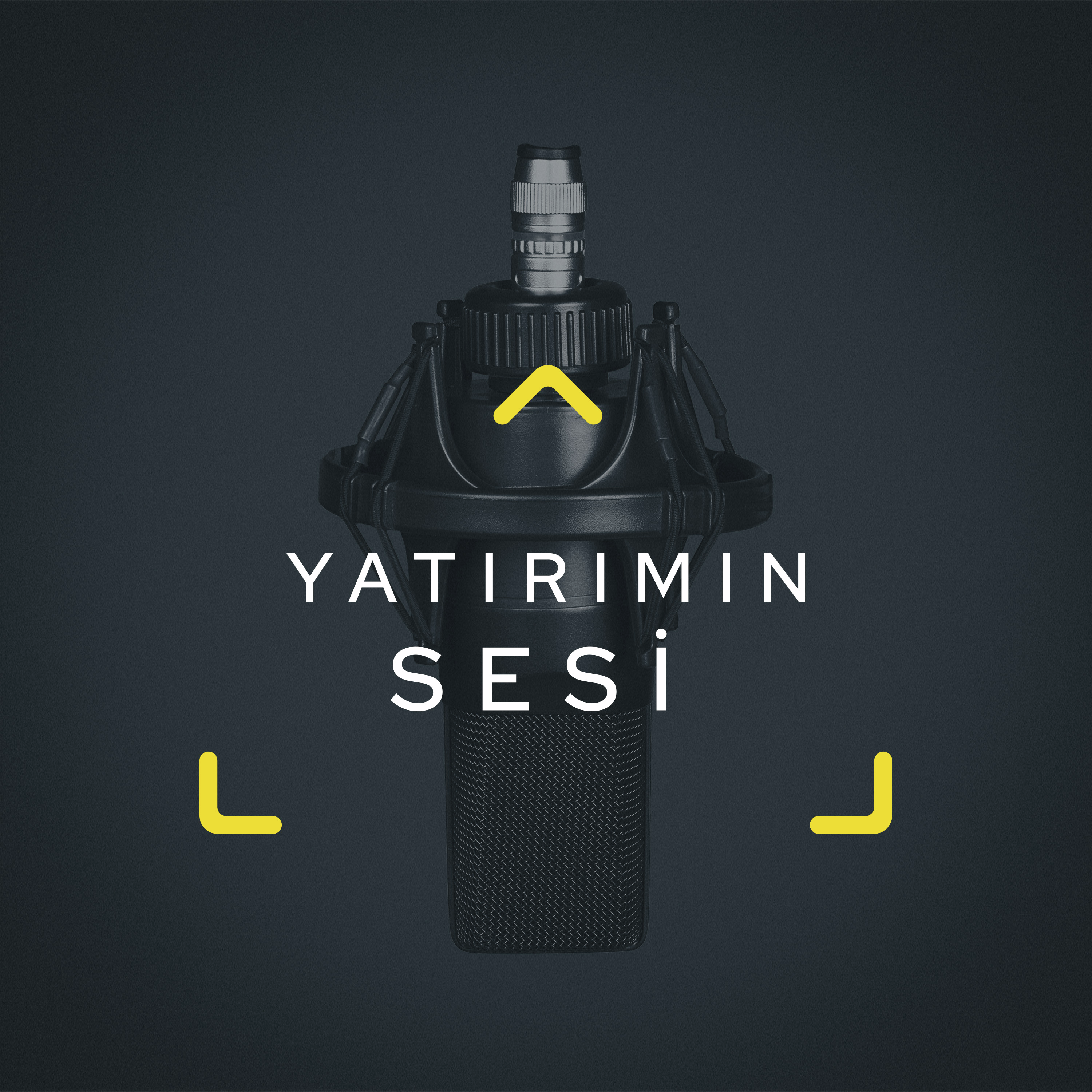 Yatırımın Sesi
