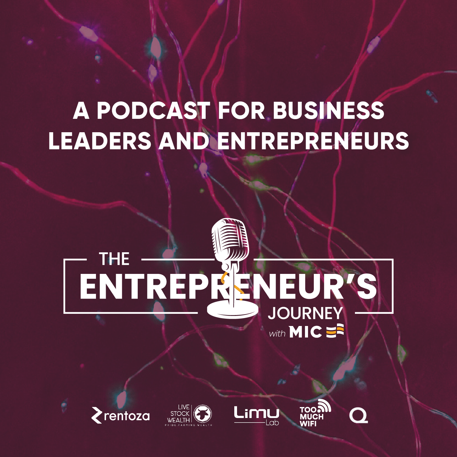 The Entrepreneur's Journey with MIC
