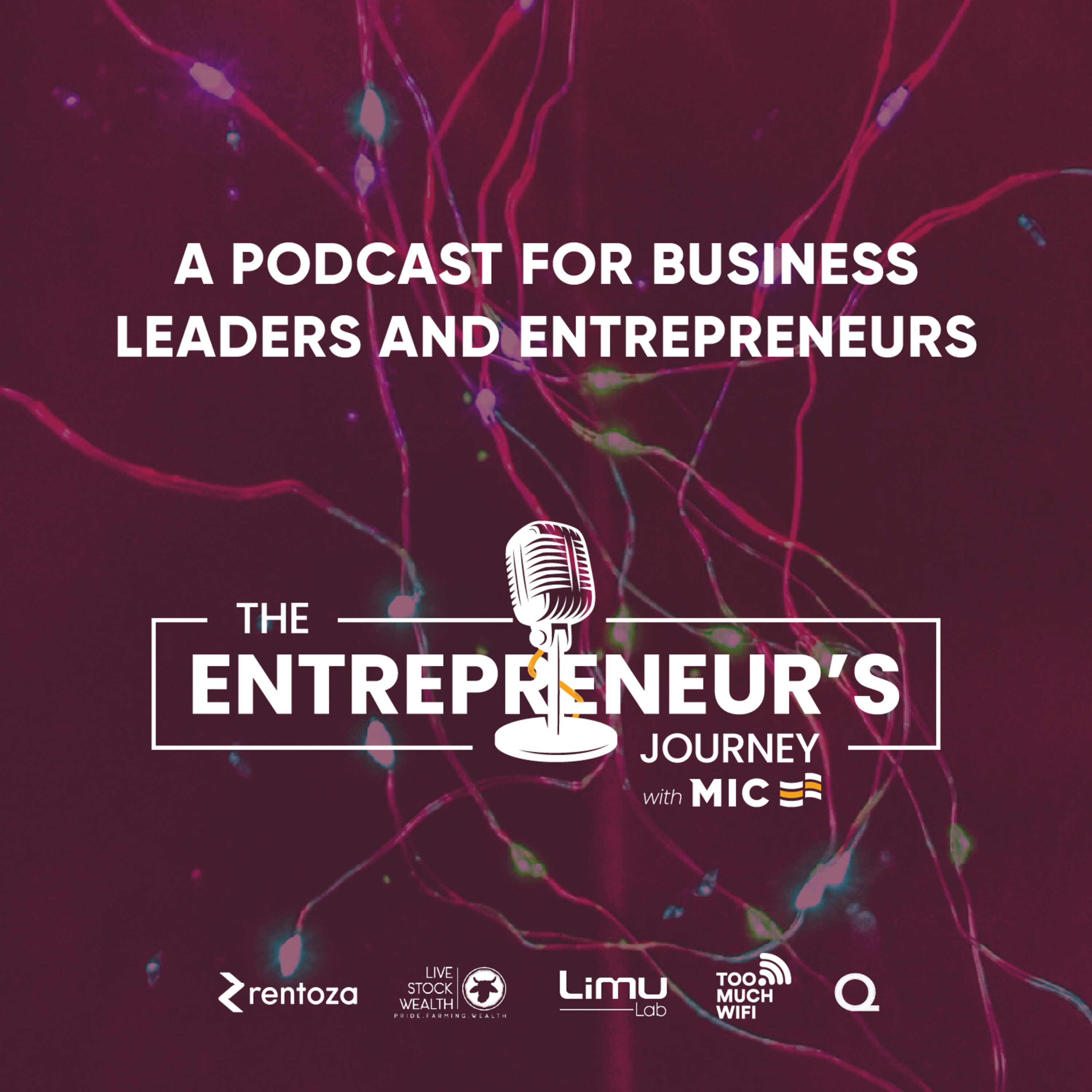 The Entrepreneur's Journey with MIC