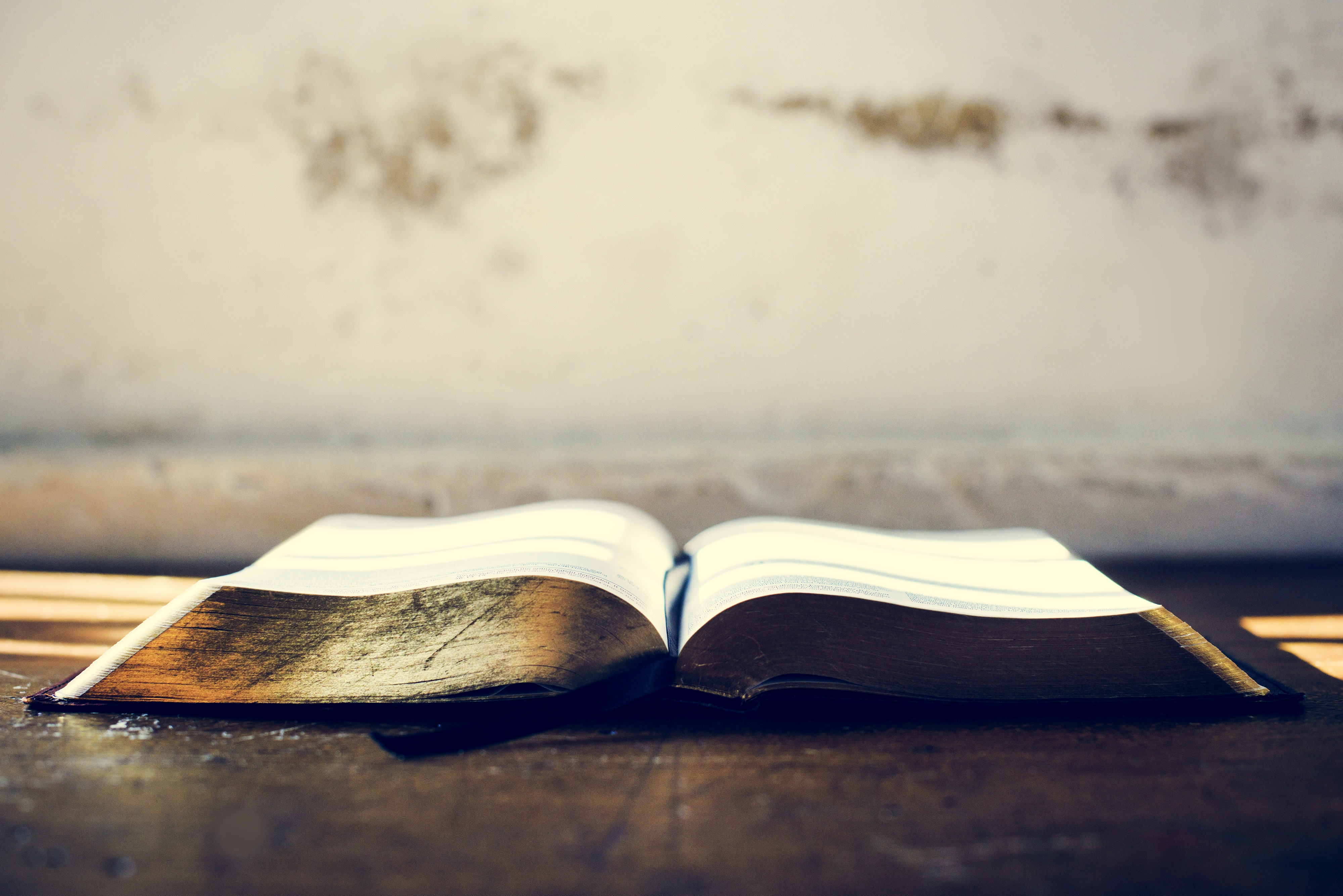 The Bible Live - Readings Podcast