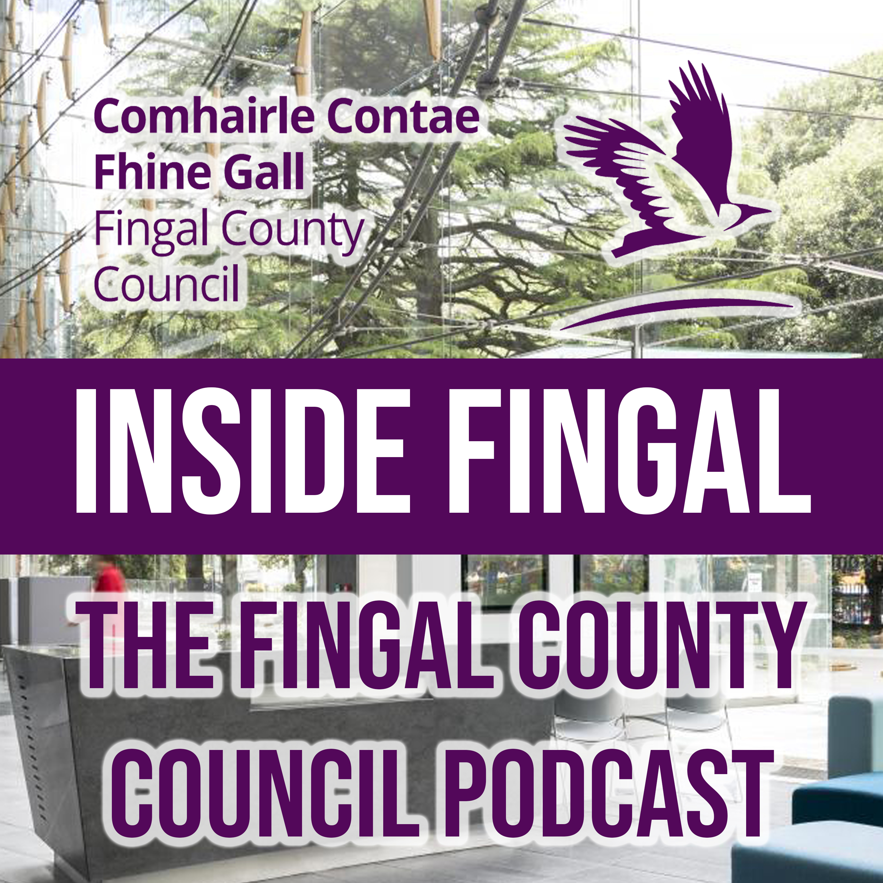 Inside Fingal