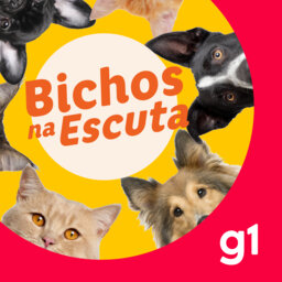 Bichos na Escuta