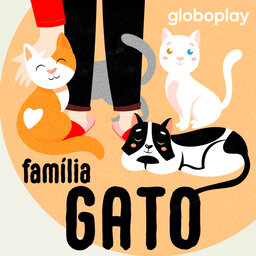 Família Gato