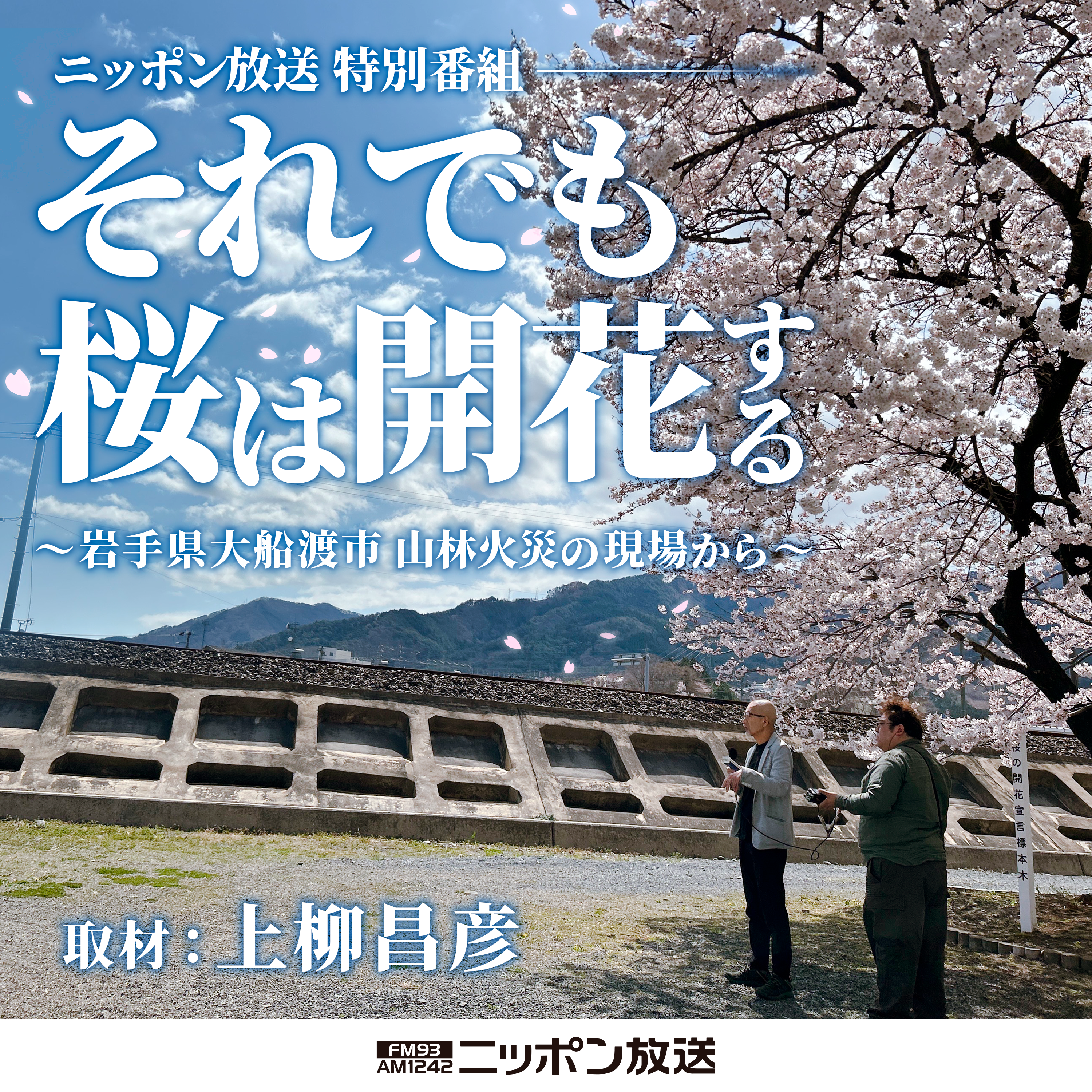 それでも桜は開花する～岩手県大船渡市-山林火災の現場から～