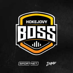 Hokejový BOSS NHL
