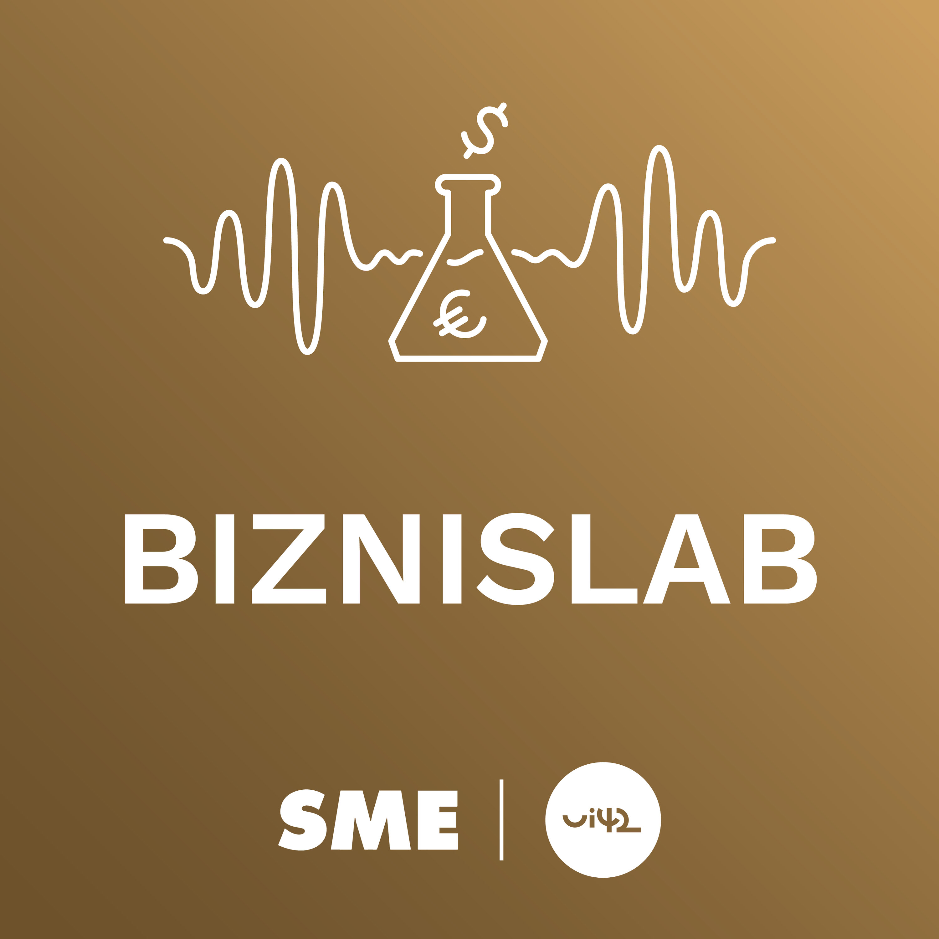 Biznislab cover