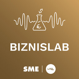 Biznislab