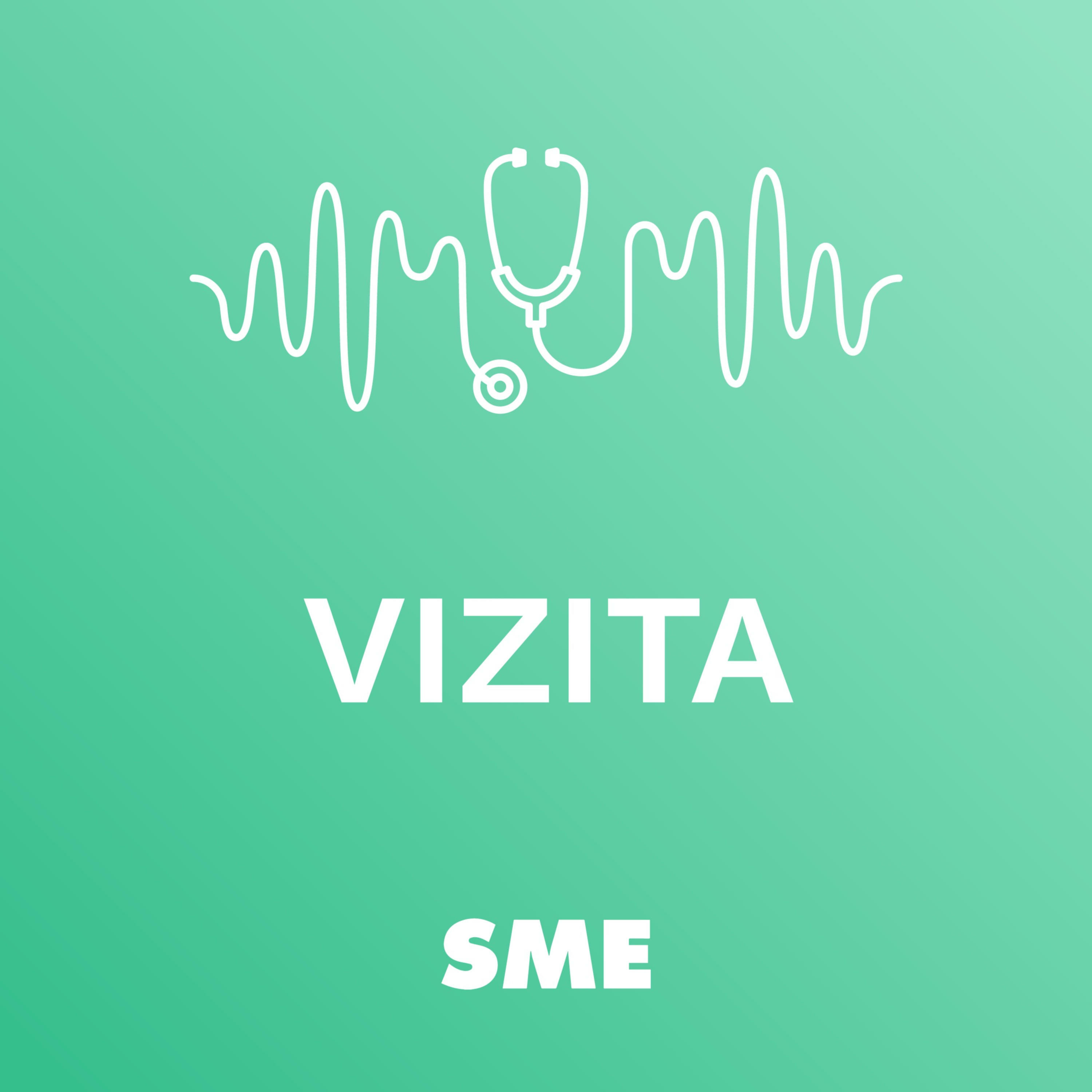Vizita