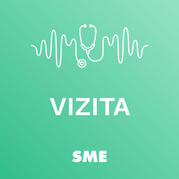 Vizita
