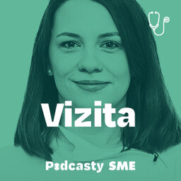 Vizita