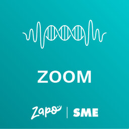 Zoom