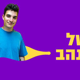 טל שנהב