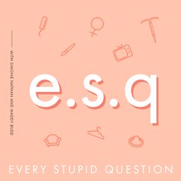 Every Stupid Question