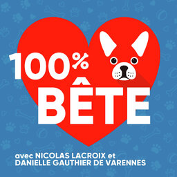 100% Bête