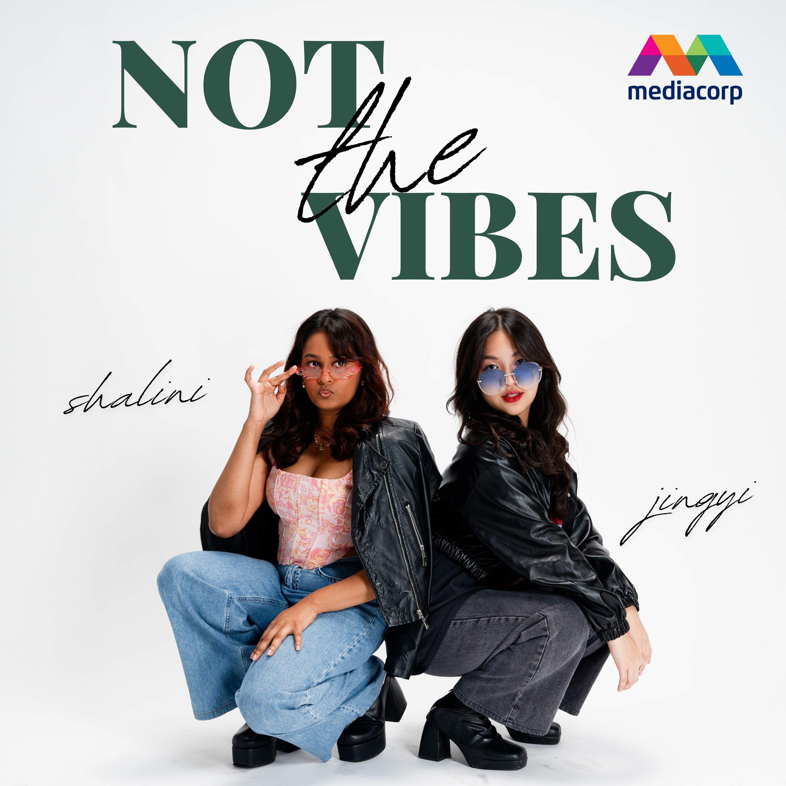 Not the Vibes Podcast