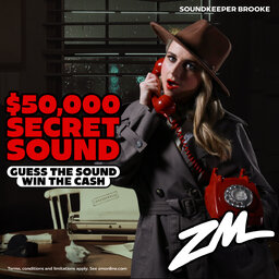 ZM's Secret Sound