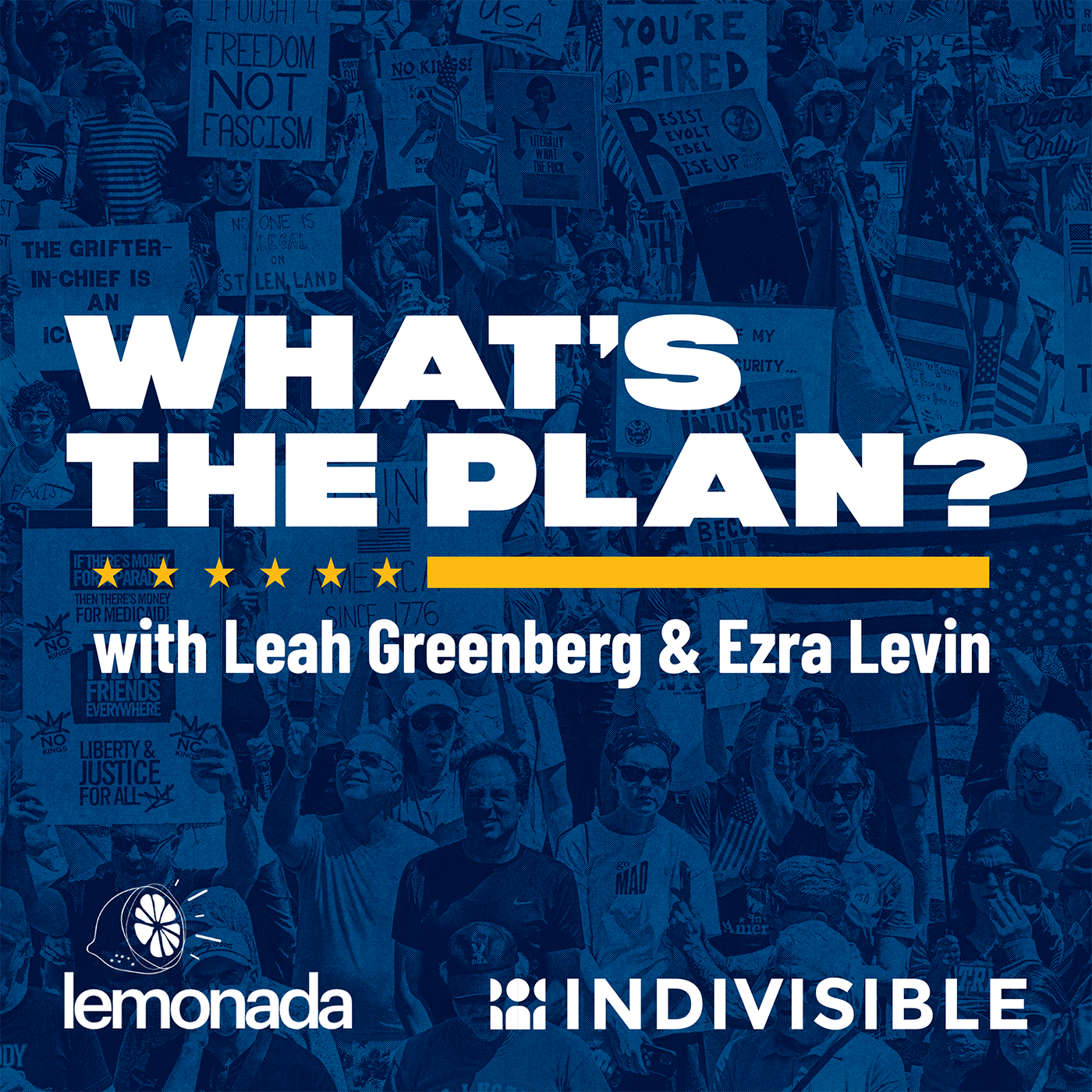 What's The Plan? with Leah Greenberg and Ezra Levin