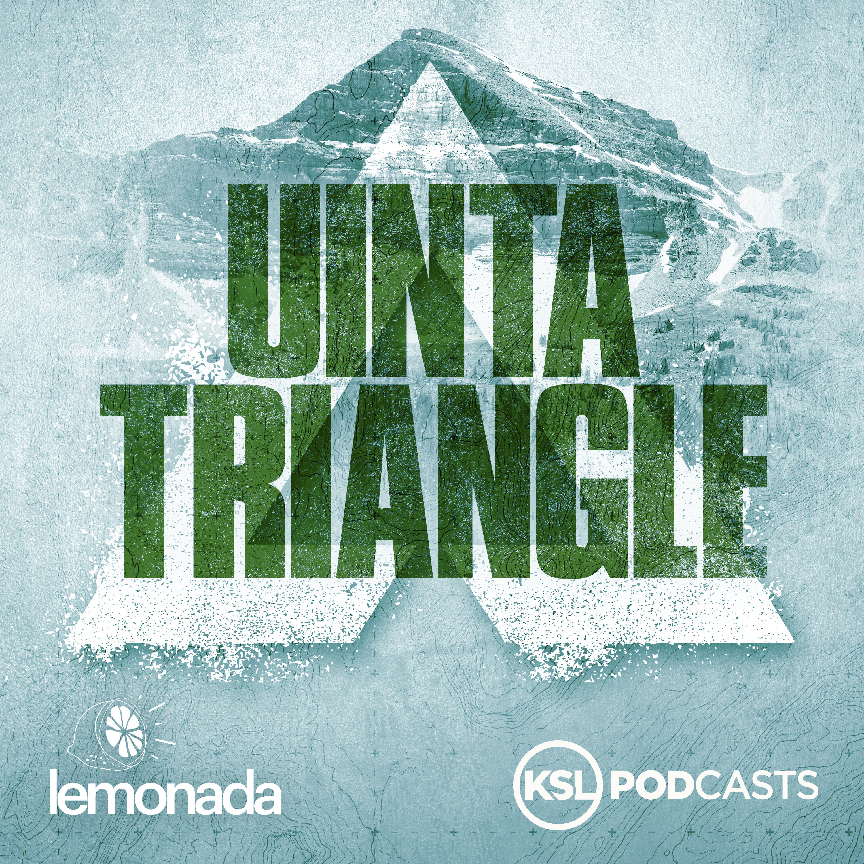 Podcast Image