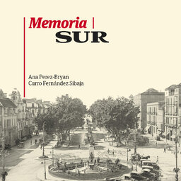 Memoria SUR