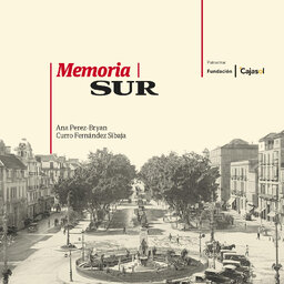 Memoria SUR