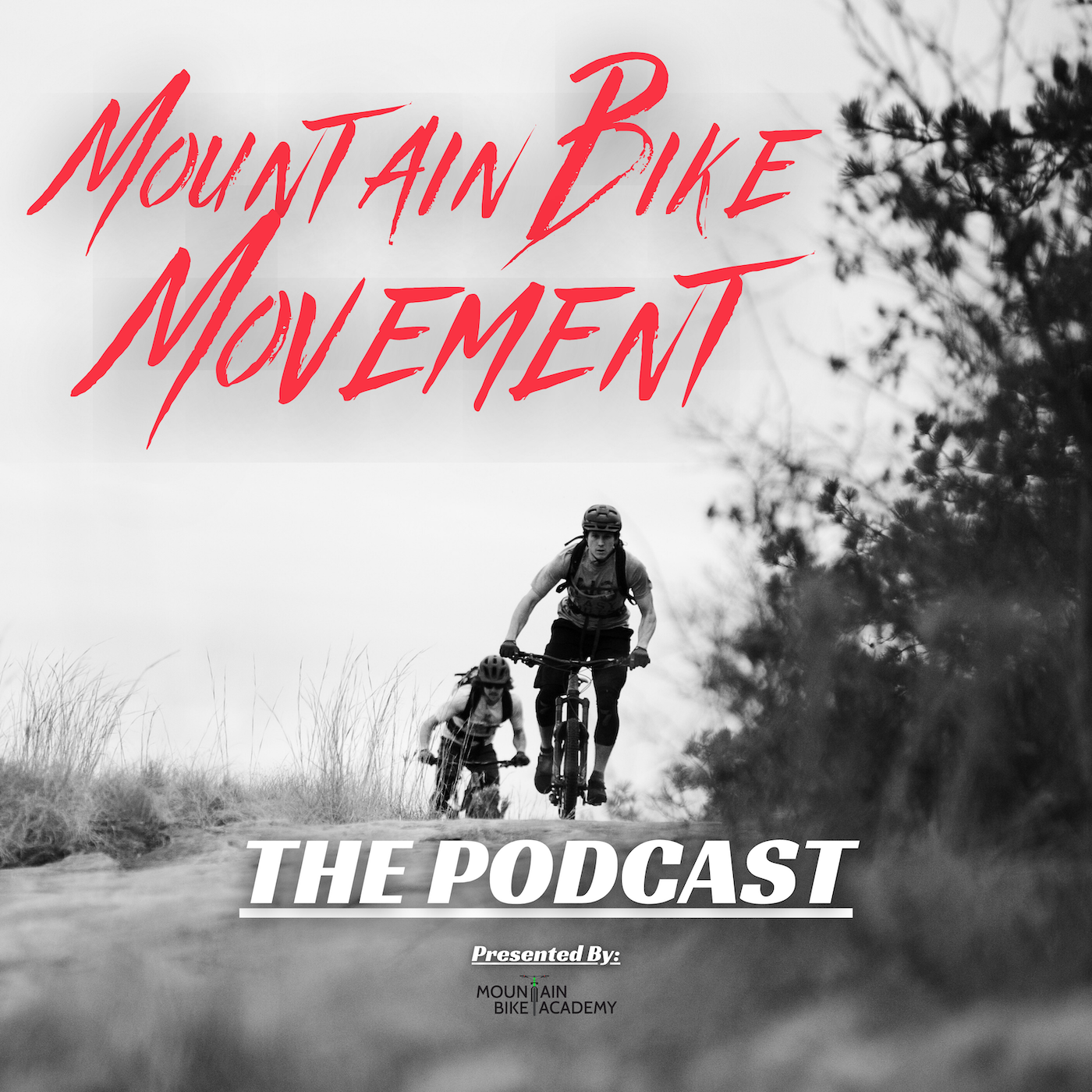 Mountain Bike Movement