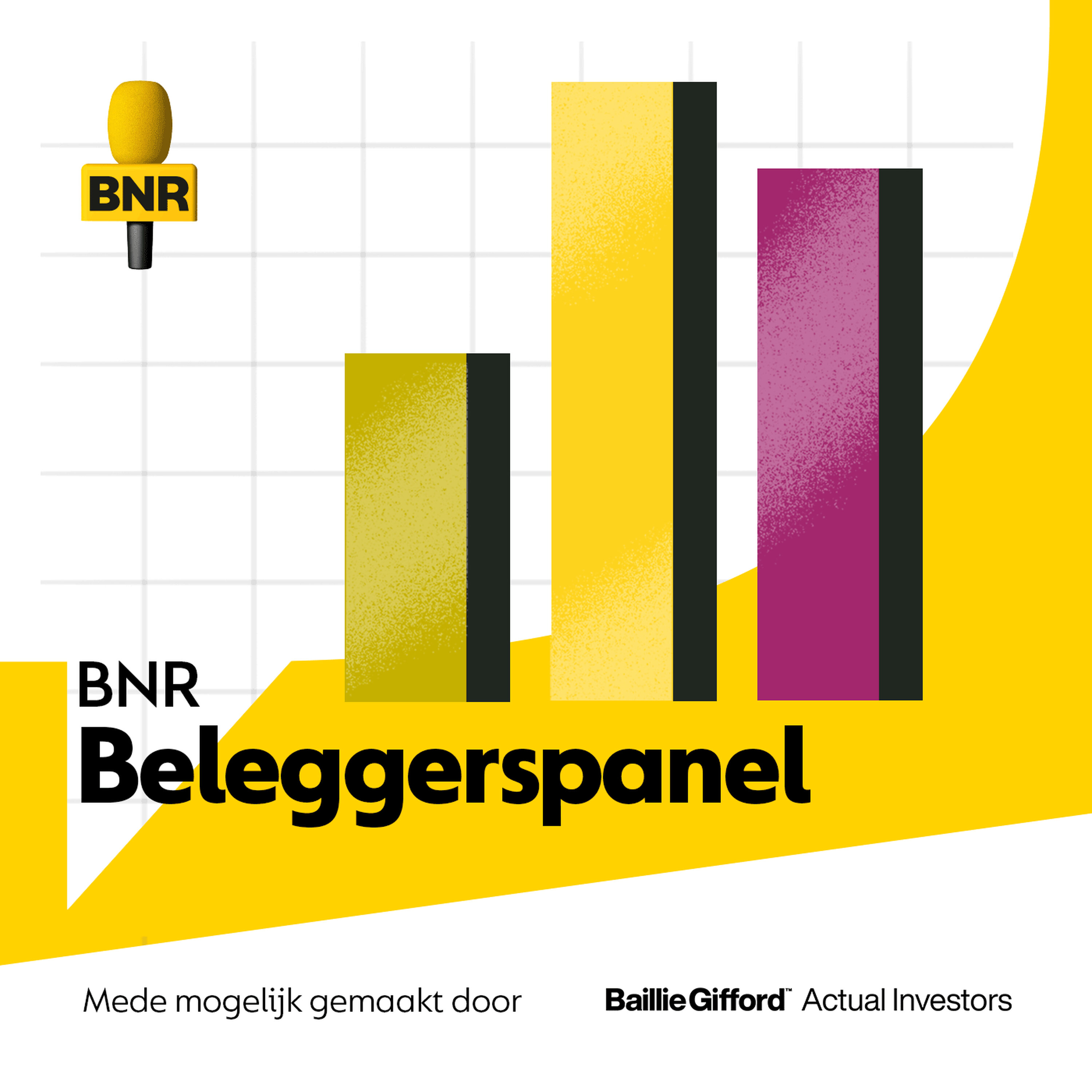 Artwork for BNR Beleggerspanel | BNR