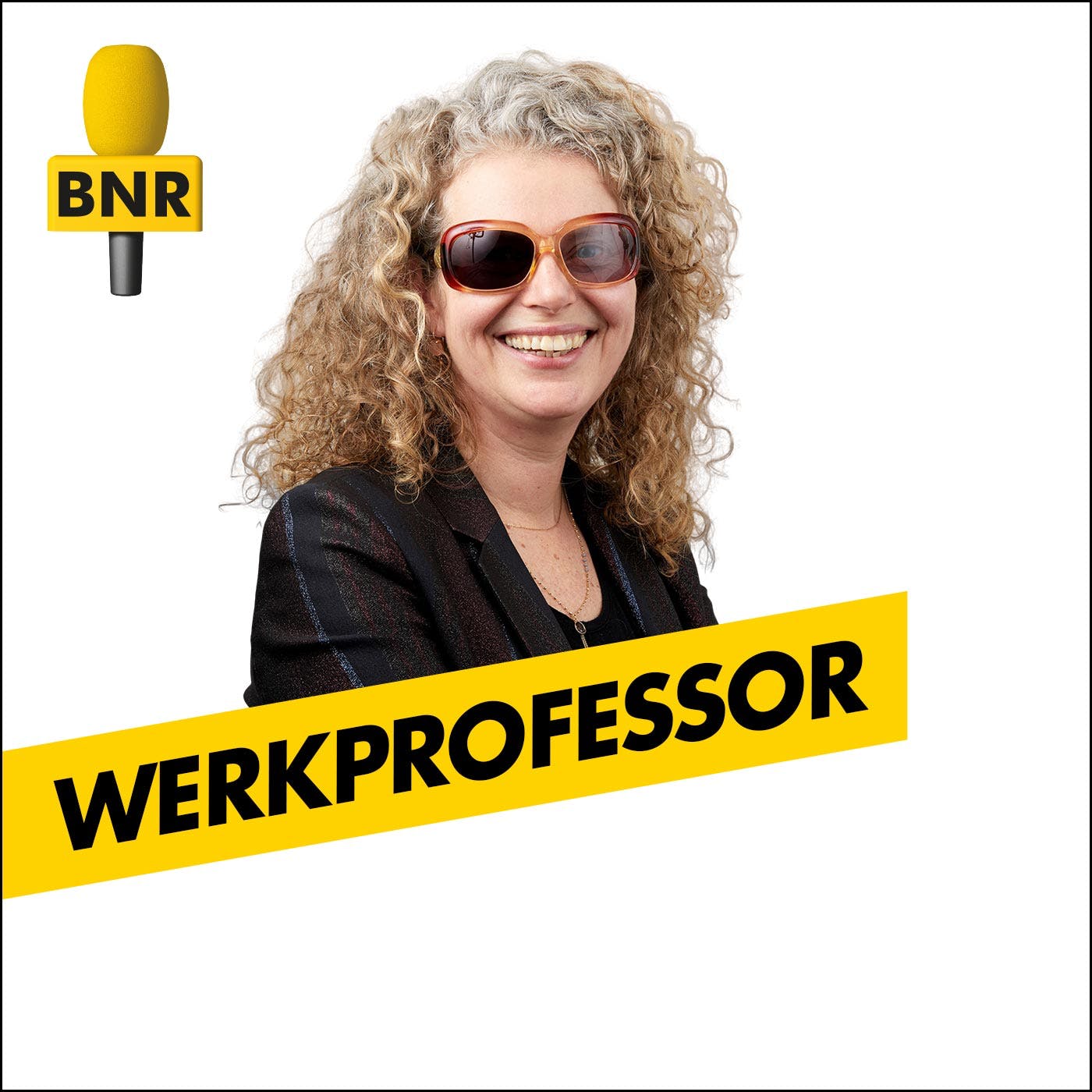 Werkprofessor | BNR