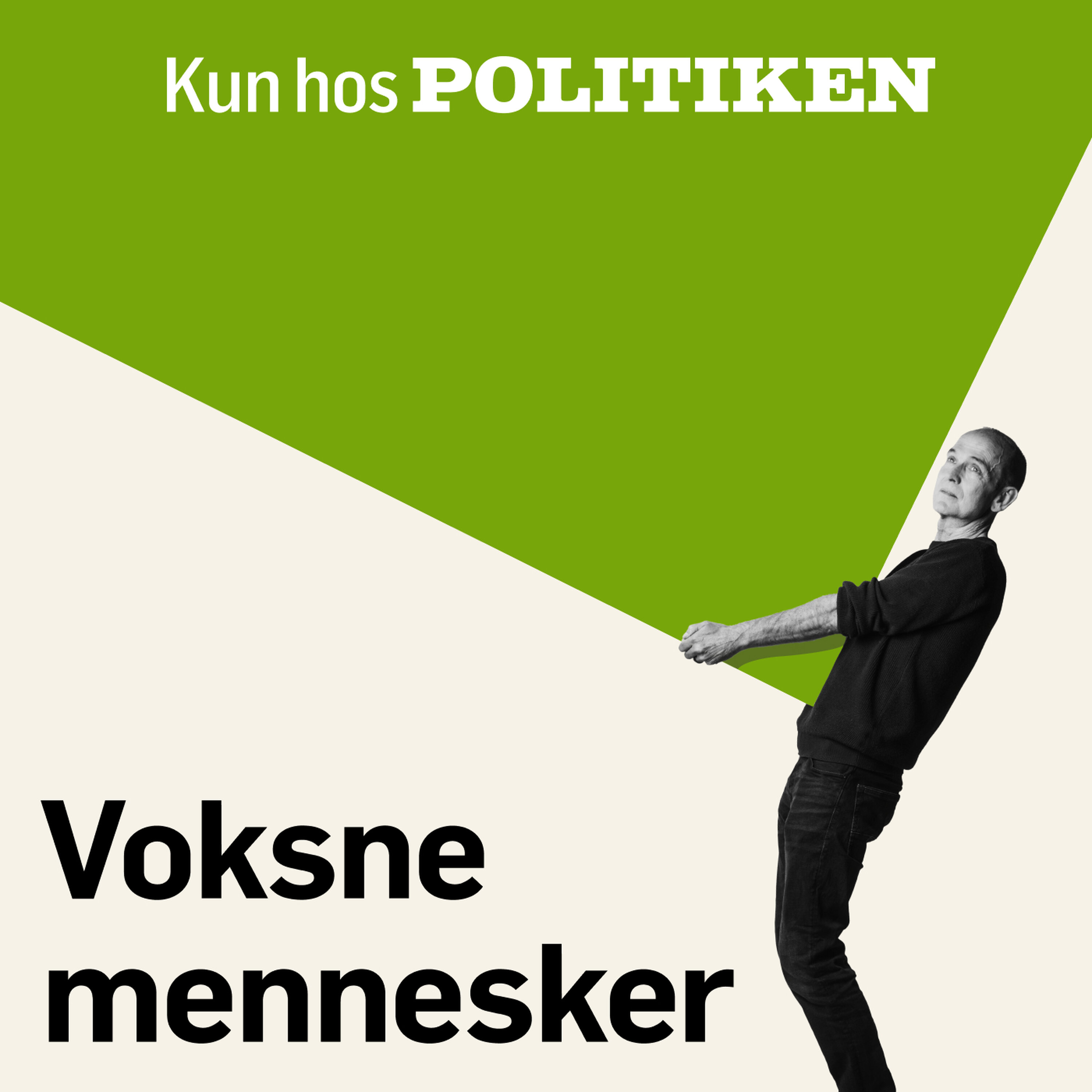 Voksne mennesker