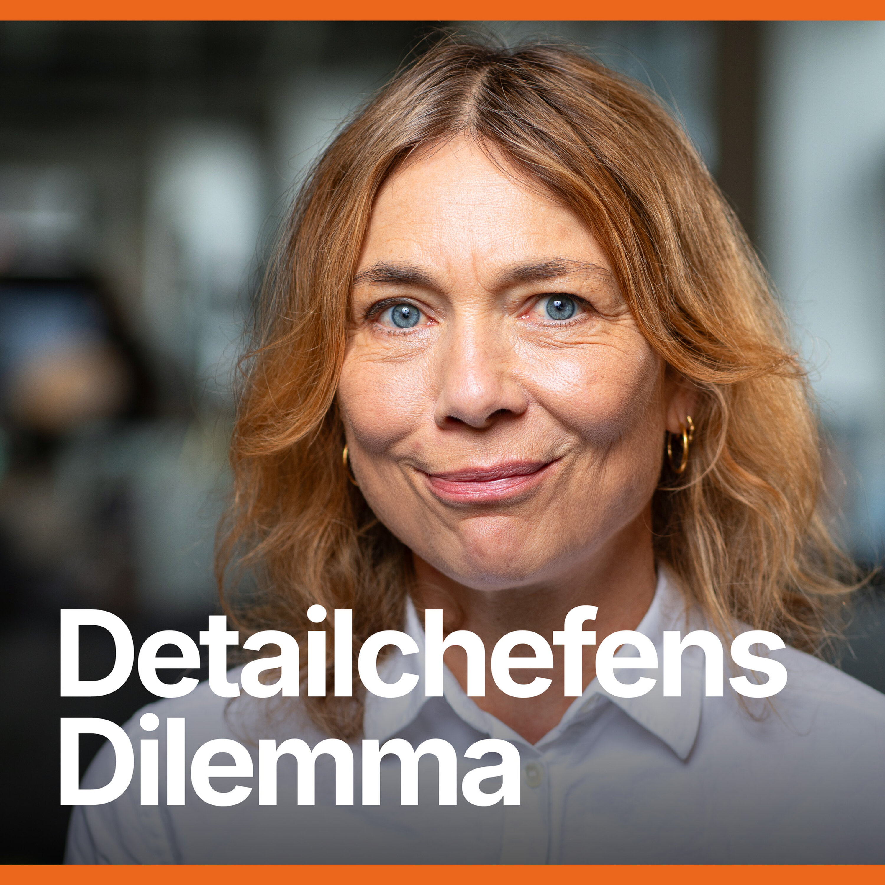 Detailchefens Dilemma -ab