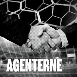 Agenterne