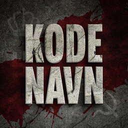Kodenavn