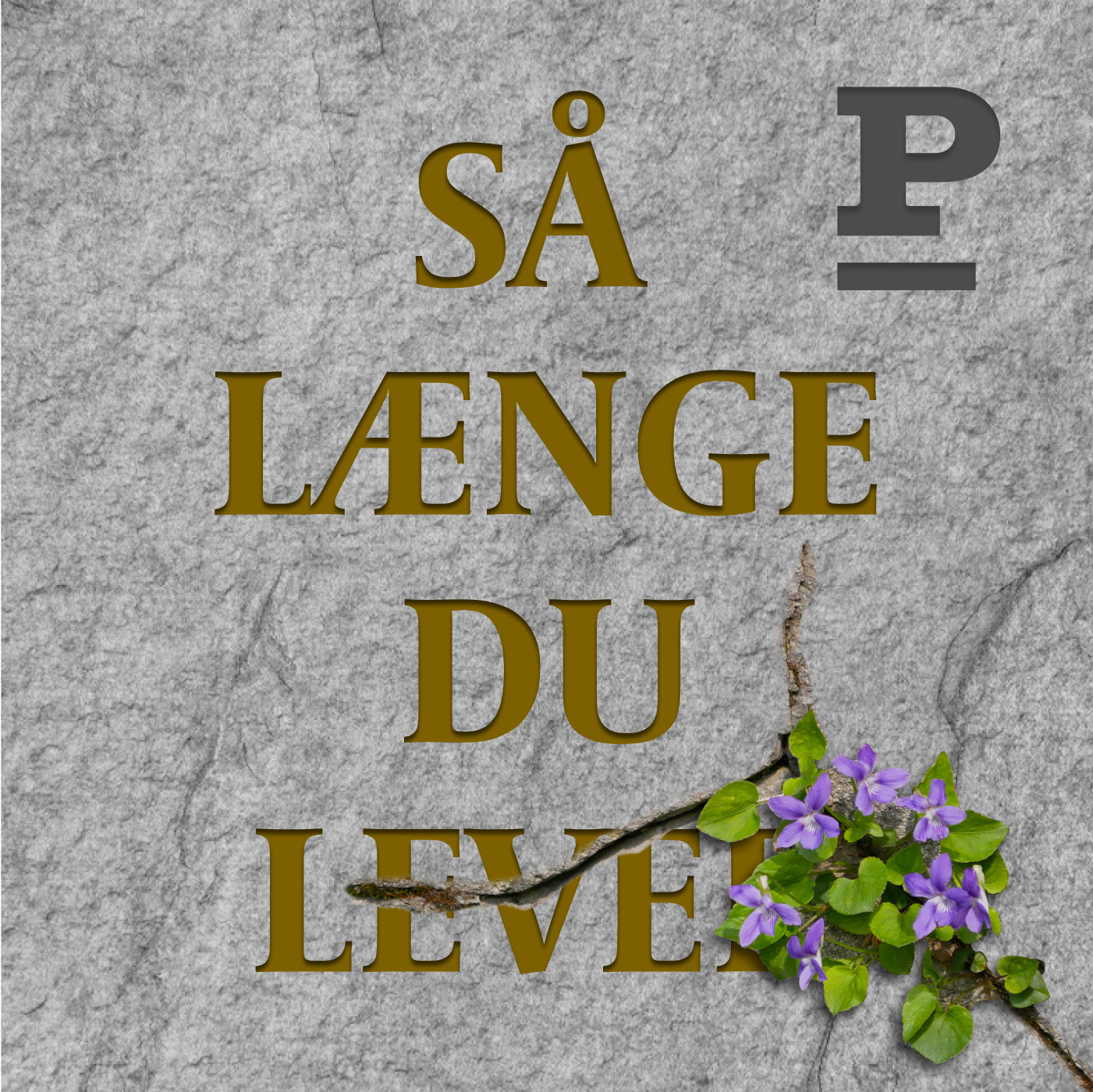 Så længe du lever