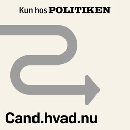 Cand.hvad.nu