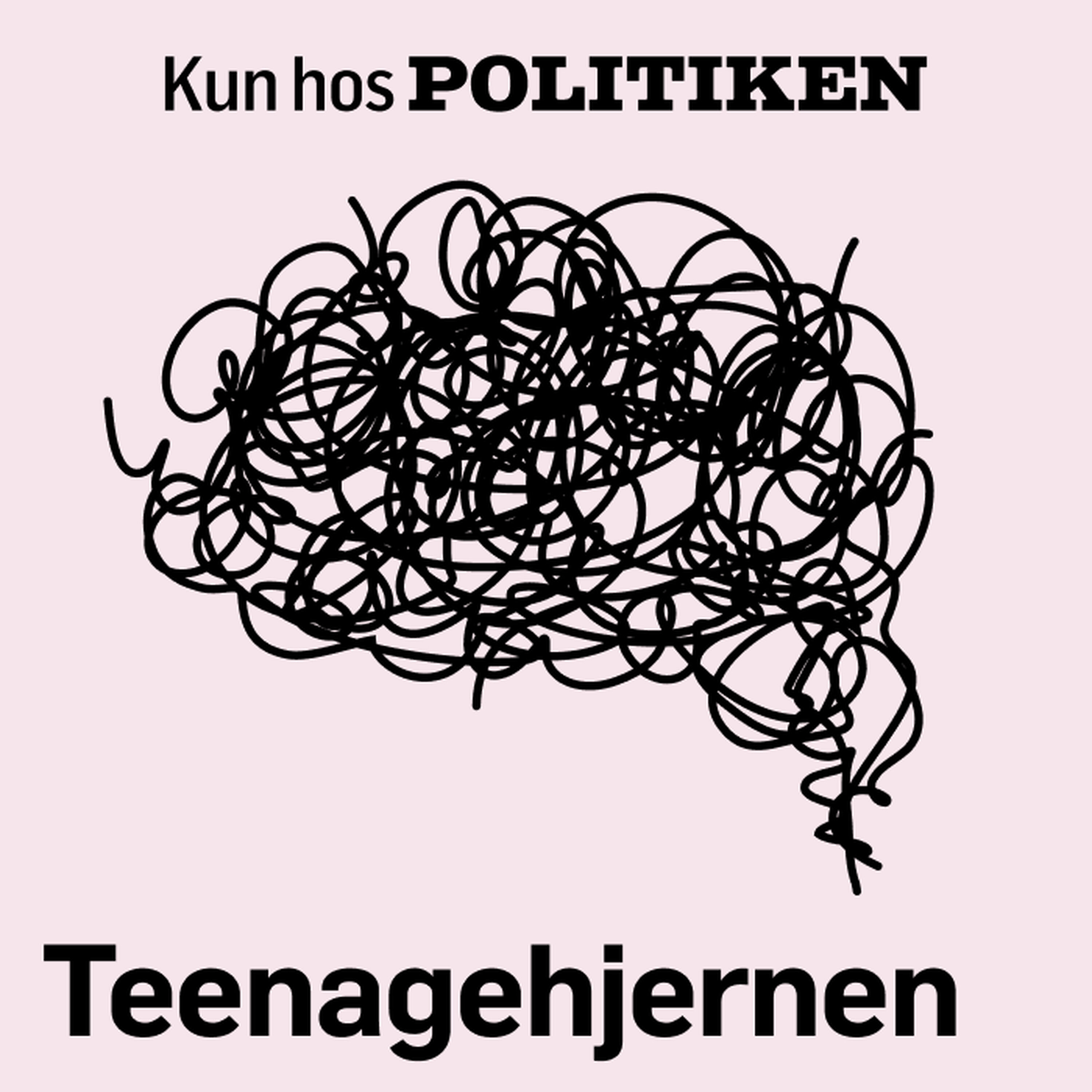 Teenagehjernen