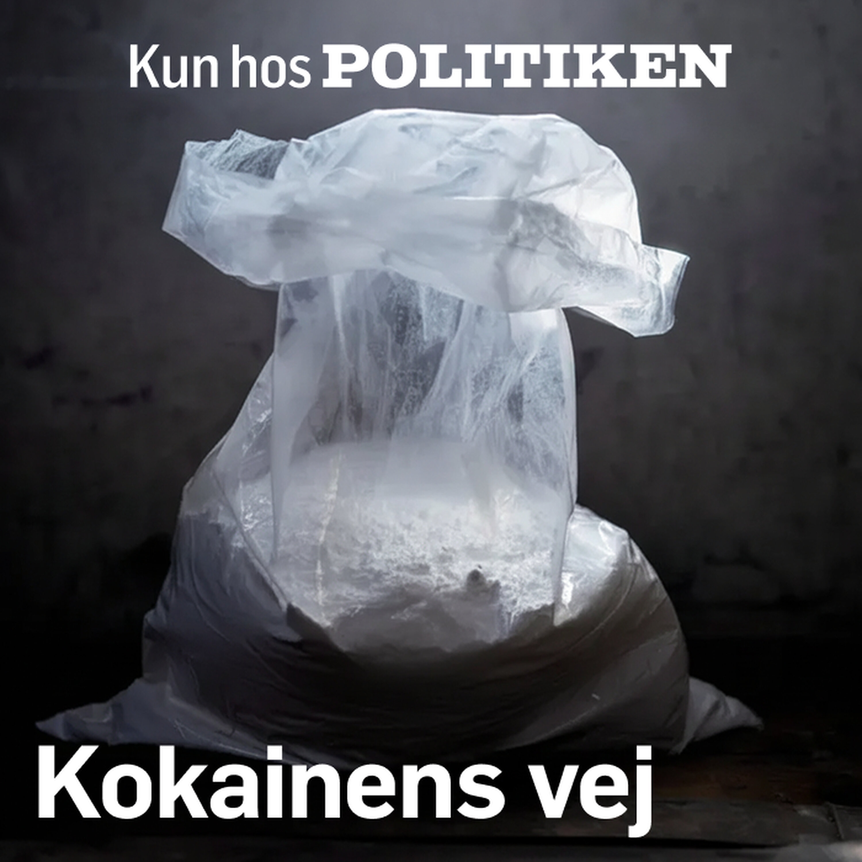 Afsnit 4: Kokainfest på SU (Premium)
