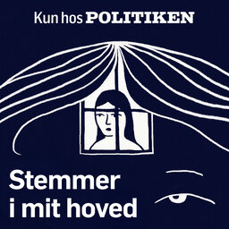Stemmer i mit hoved