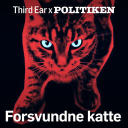 Forsvundne katte