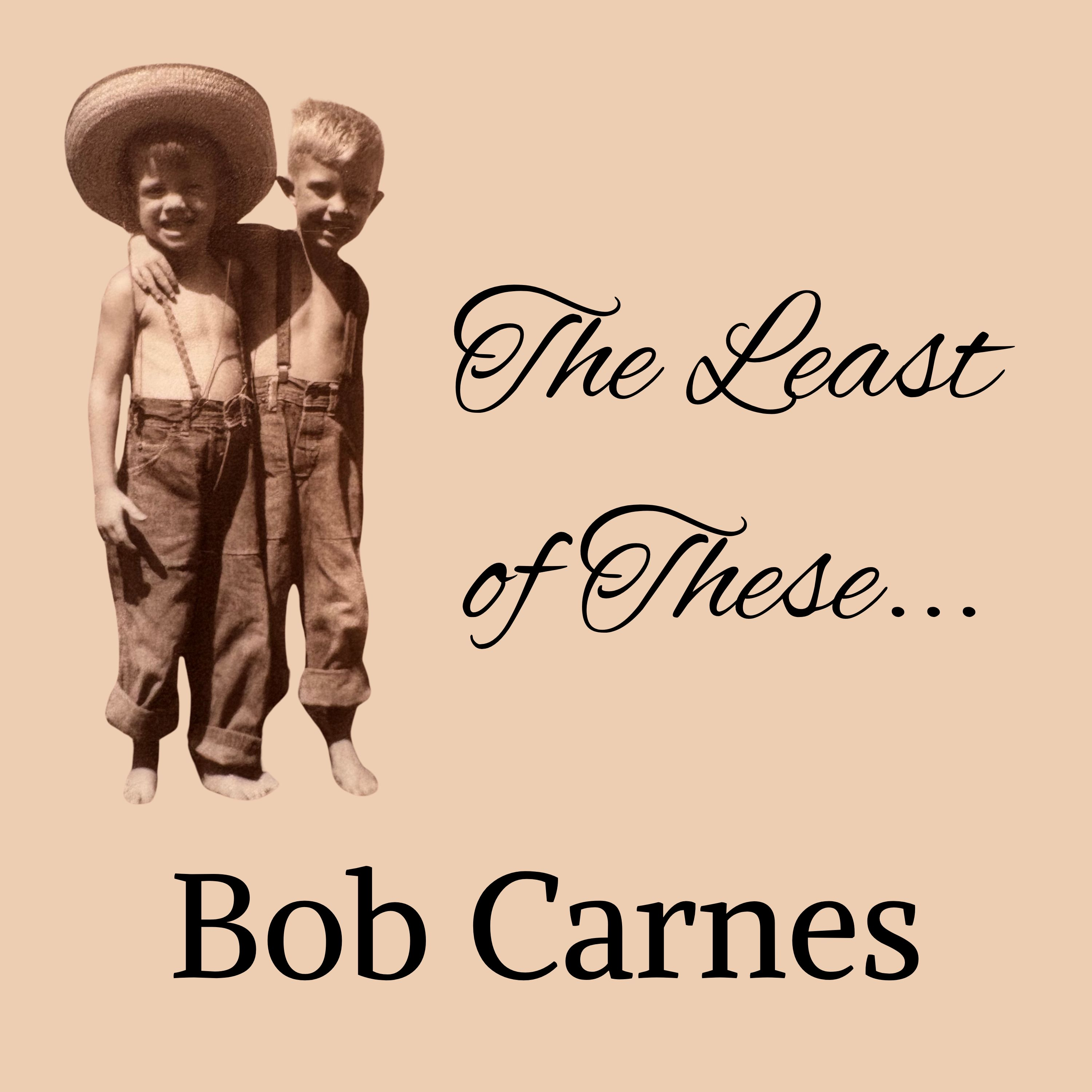 The Least of These - A Memoir by Bob Carnes