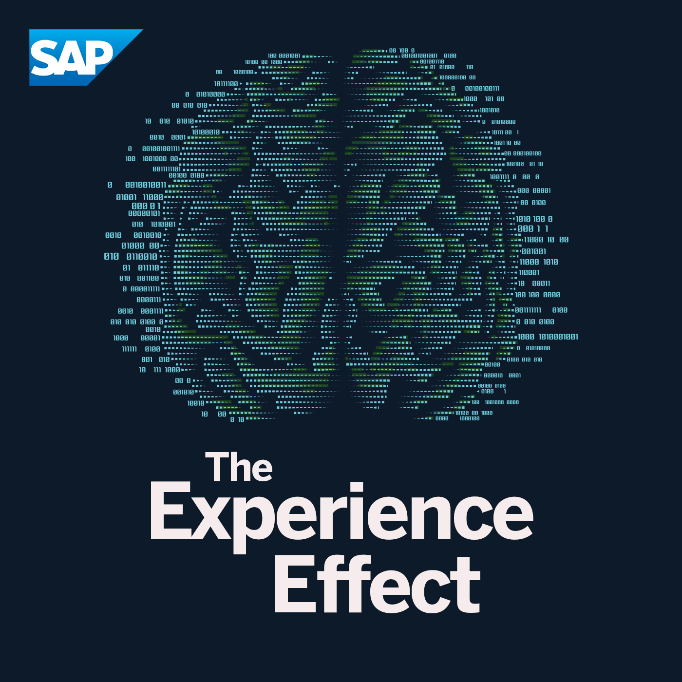 The Experience Effect