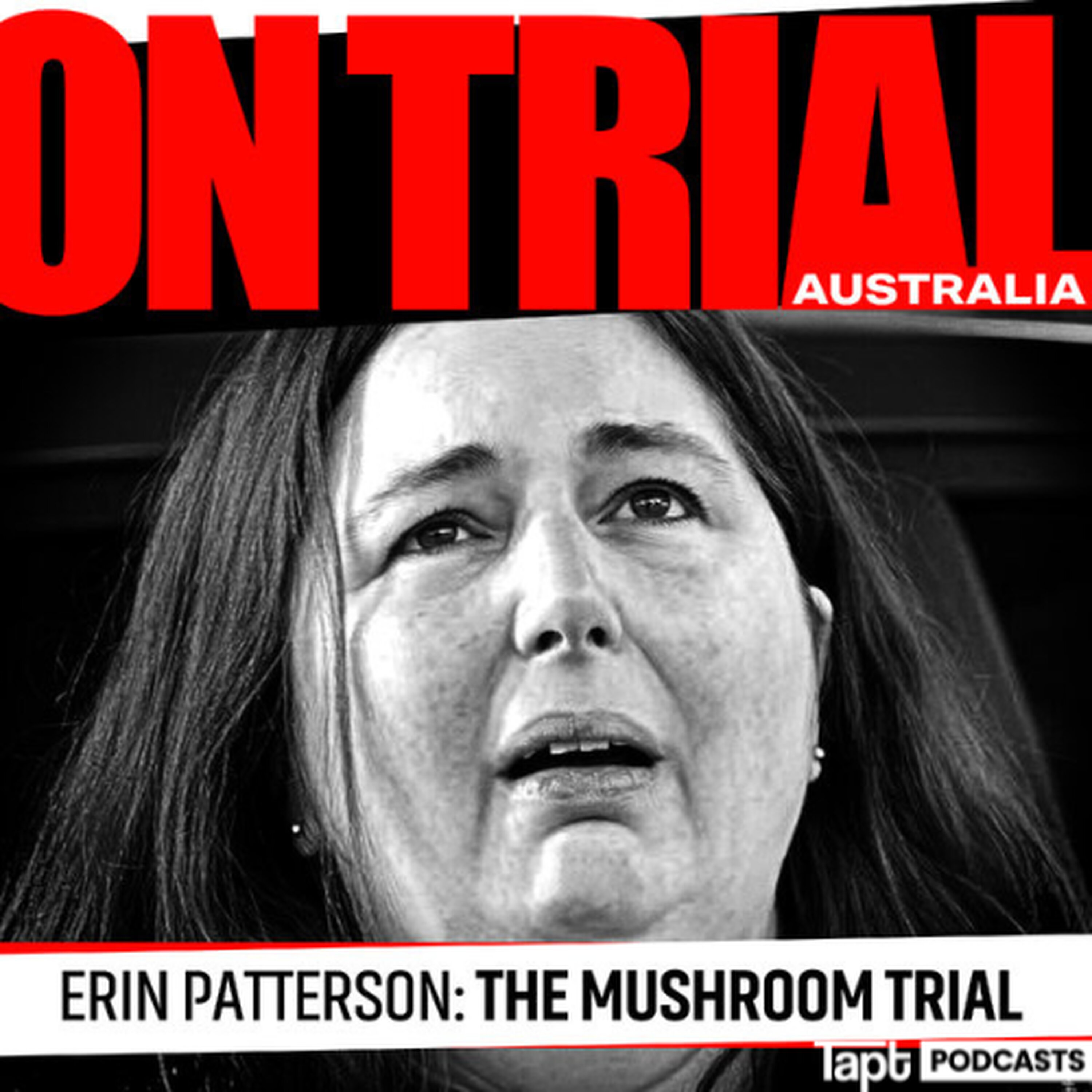 Why Erin Patterson is fighting her convictions episode artwork