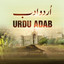 Urdu Adab
