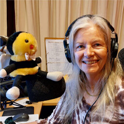 Bellinger Access with Bundah and the Bees