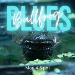 Bullfrog Blues