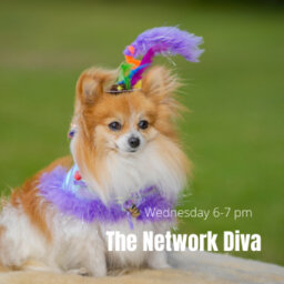 The Network Diva