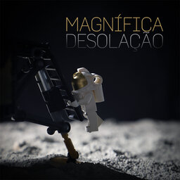 Magnífica desolação
